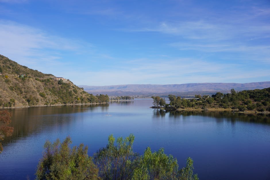 abdominoplastia Córdoba